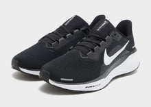 Load image into Gallery viewer, Nike Pegasus 41